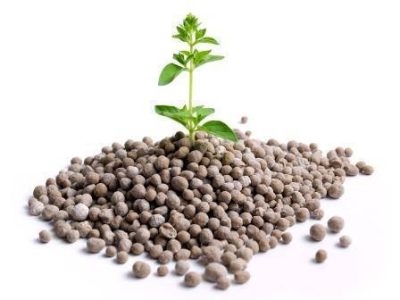 Fertilizantes-01-Crédito-Shutterstock-10-2021
