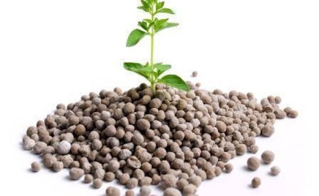 Movimentação de fertilizantes no agronegócio brasileiro