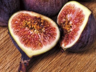 Figo - Créditos Pixabay