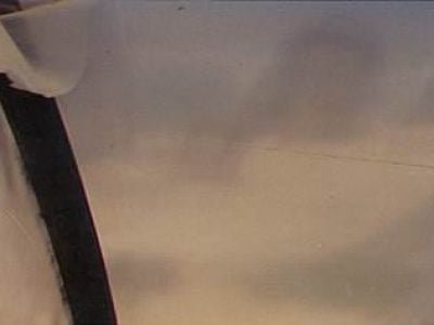 Figura 1. Filme SUNCOVER AV DIFF 75% Ã  esquerda (sem insetos) e filme comum Ã  direita.