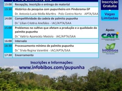 Flyer A5 Pupunha_site