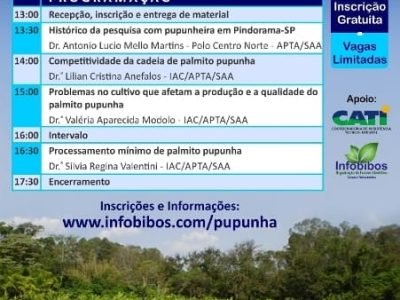 Flyer A5 Pupunha_site