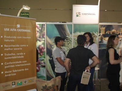 Adicionar novo post “¹ Campo & Negócios “” WordPress