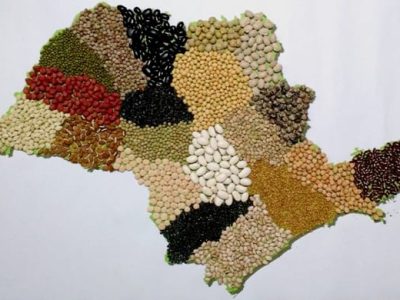 Foto 00