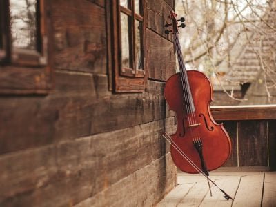 Crédito Shutterstock