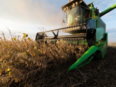 Red apple with leaves isolated on white. Ripe fresh apples Clipping Path