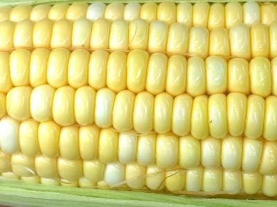 Crédito: Israel Filho