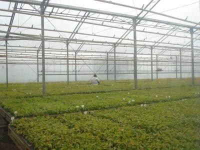 Crédito Bruna Anair Souto Dias