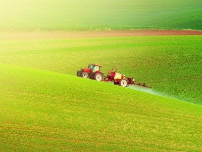 Foto-01-1-1024x678 (1)