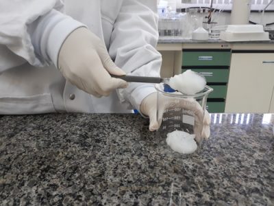 Foto 01 (1)
