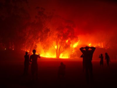 People watching forest fire in night. Shot in Stellenbosch, Western Cape, South Africa.