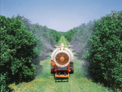 Foto-01-1-Crédito-Ana-Maria-Diniz