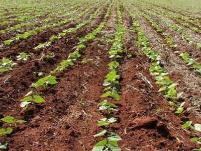 Foto-01-1-Crédito-Ana-Maria-Diniz1