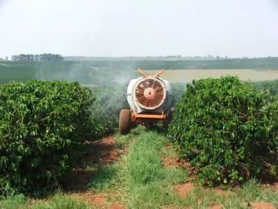 Foto-01-1-Crédito-Ana-Maria-Diniz3-1024x768