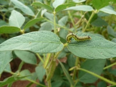 Foto-01-1-Crédito-André-Ramos