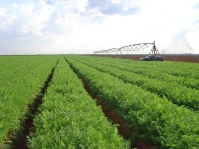 Foto-01-1-Crédito-Cyro-Paulino-Costa