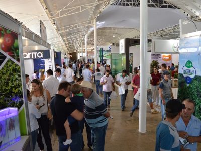 Foto-01-1-Crédito-Divulgação2