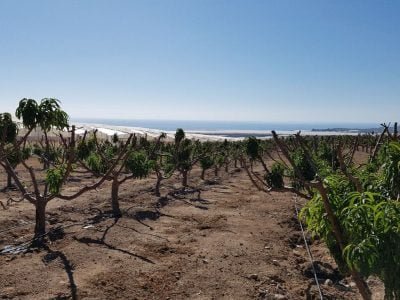 Foto-01-1-Crédito-Glaucio-Genuncio-1024x576