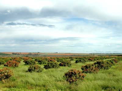 ????????????????????????????????????