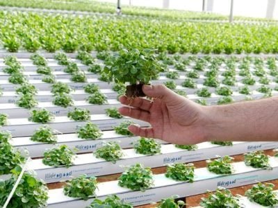 Foto-01-1-Crédito-Hidrogood