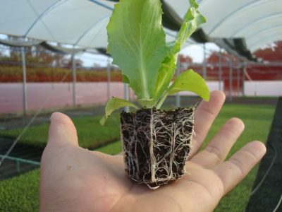 Foto-01-1-Crédito-JKS