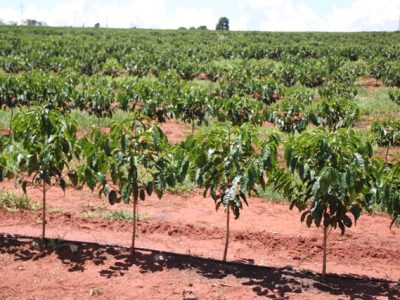 Foto-01-1-Crédito-Luize-Hess