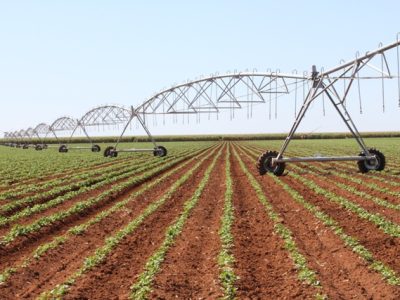 Foto-01-1-Crédito-Luize-Hess