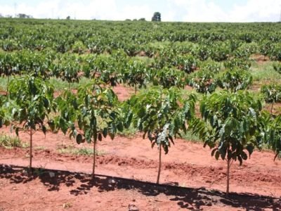 Foto-01-1-Crédito-Luize-Hess