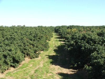 Foto-01-1-Crédito-Luize-Hess1