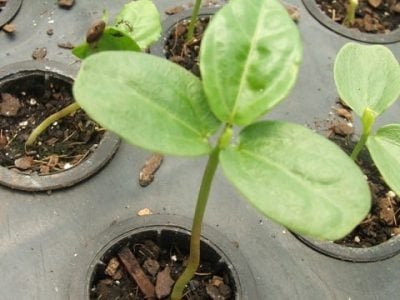 Foto-01-1-Crédito-Luize-Hess3