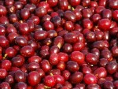 Foto-01-1-Crédito-Marcelo-André