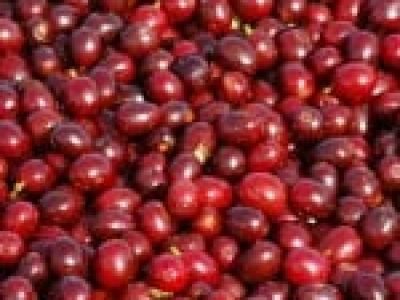 Foto-01-1-Crédito-Marcelo-André