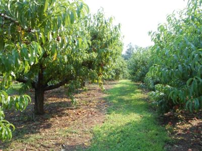 ????????????????????????????????????