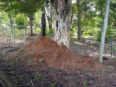 Foto-01-1-Crédito-Richard-Ian-Samuels