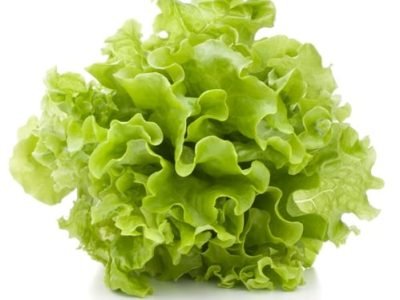 Foto-01-1-Crédito-Shutterstock13