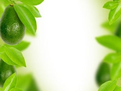 Foto-01-1-Crédito-Shutterstock15