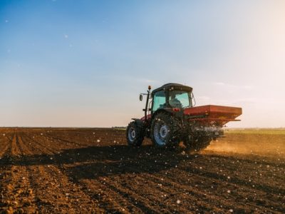 Foto-01-1-Crédito-Shutterstock5