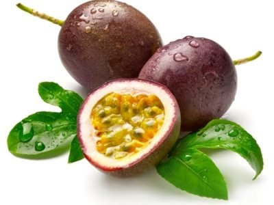 Foto-01-1-Crédito-Shutterstock5