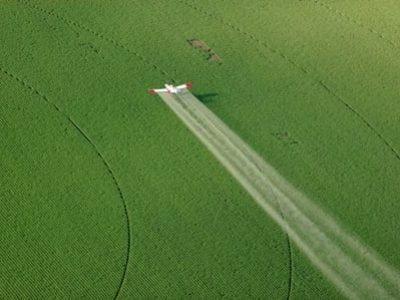 Foto-01-1-Crédito-Shutterstock6