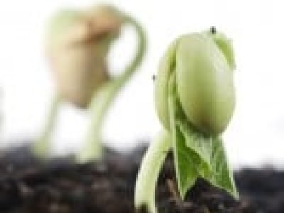 Foto-01-1-Crédito-Shutterstock8