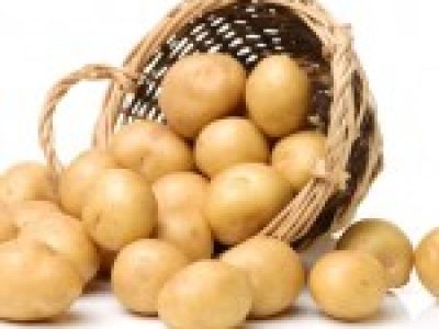 Foto-01-1-CréditoShutterstock2