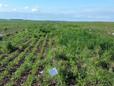 Foto-01-1-Créditos-Leandro-Paiola-Albrecht-1024x576