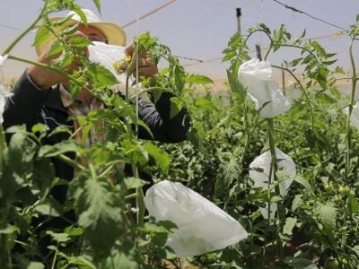 Foto-01-1-Créditos-TNTEX-1024x576