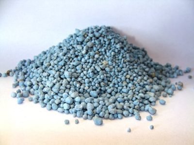 Foto-01-1-Créditos-Wirstchat