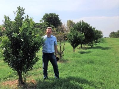 Foto-01-1-Pesquisador-Camilo-Medina-ao-lado-de-plantas-com-HLB-podadas-que-receberam-o-MFG-e-estão-recuperadas-e-logo-atrás-planta-sem-manejo-Crédito-Conplant