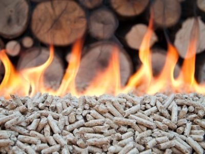 Pellet in flames- stock photo