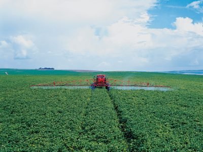 Lavoura _ Crédito: Case IH