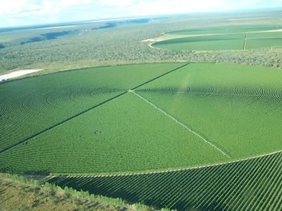 Crédito: Glauber de Castro