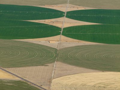 Agricultura - Crédito Shutterstock