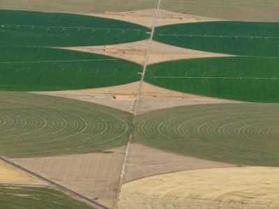 Agricultura - Crédito Shutterstock